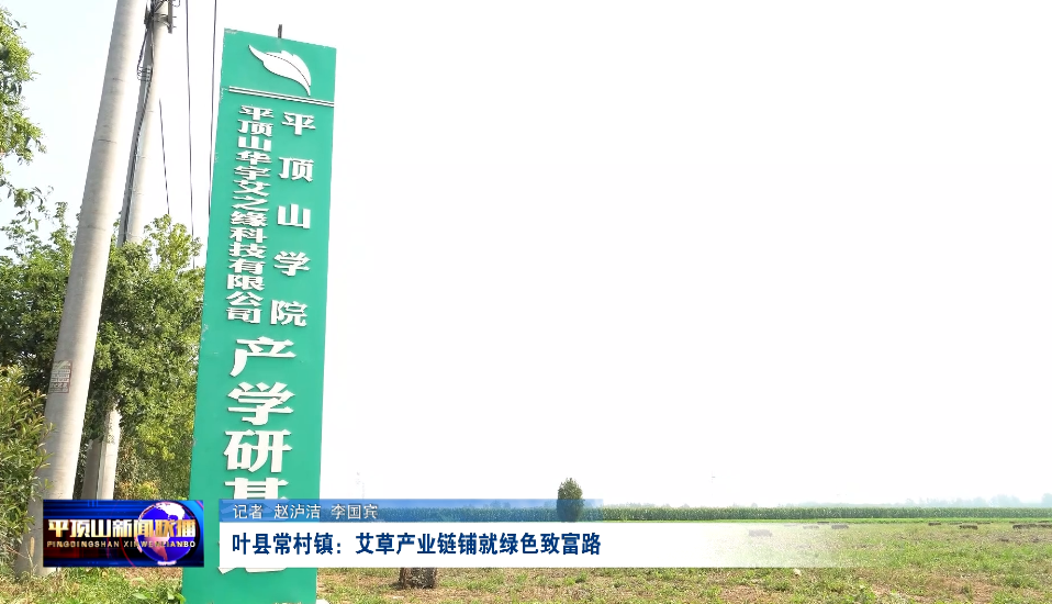 葉縣封面.png